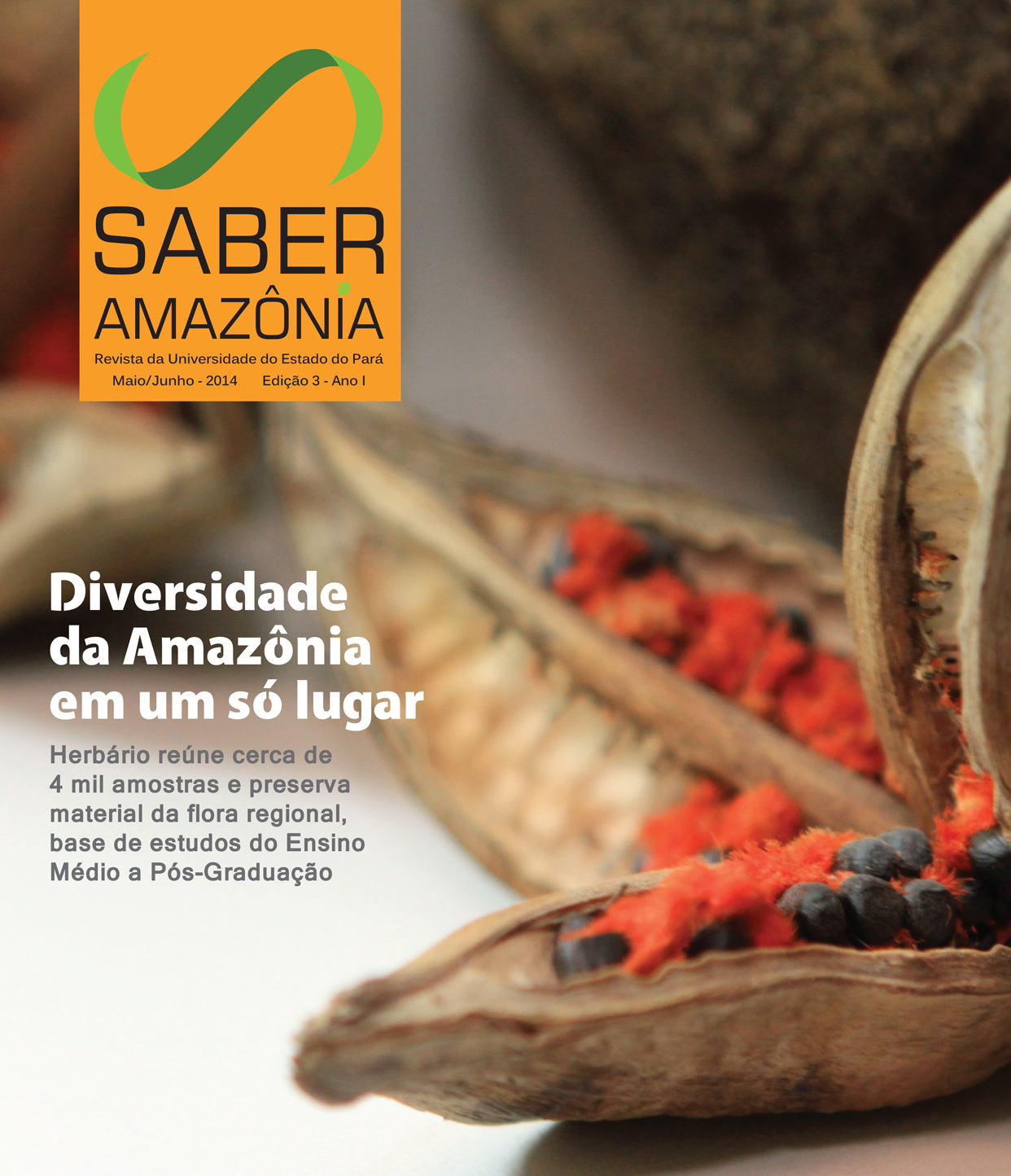 Revista Saber Amazônia | Edição 2