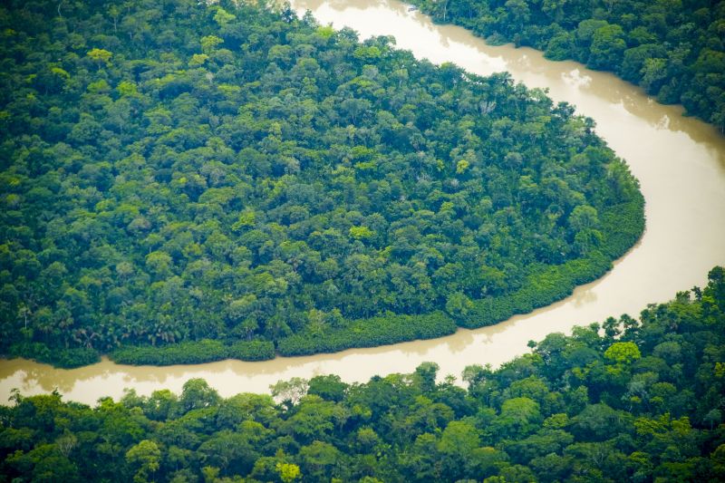 Amazônia: Olhares para a Educação e o Ensino propõe uma análise sobre elementos socioculturais e educacionais em regiões centrais da Amazônia brasileira.