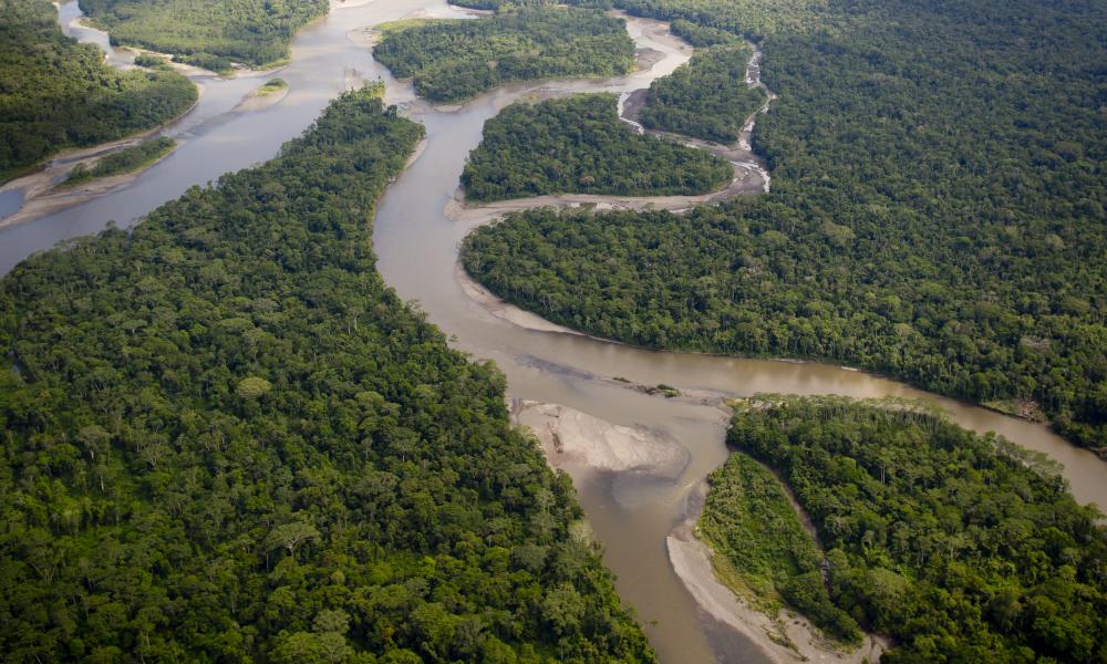 Evento gratuito e voltado ao público em geral reunirá seis universidades estaduais da Amazônia para abordar temas relativos à região (Foto: Freepik).