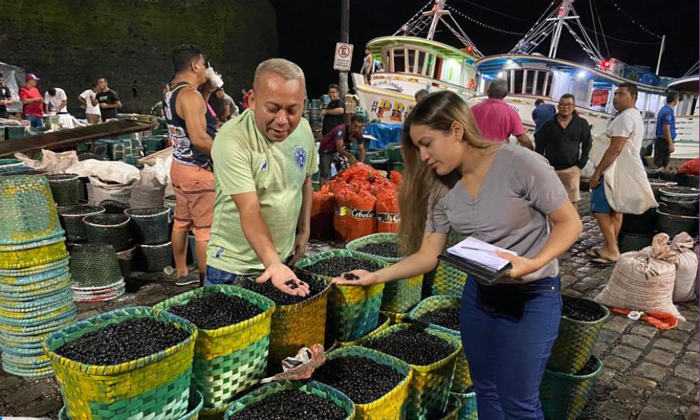 Vários aspectos do açaí, desde a produção até a comercialização, foram analisadas pela pesquisa.